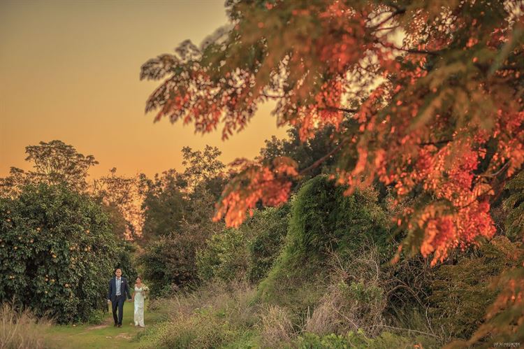 סיי צ'יז: איך בוחרים צלם לחתונה? 7