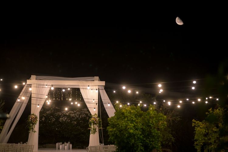 החלפת המבטים שהובילה לחתונה 20