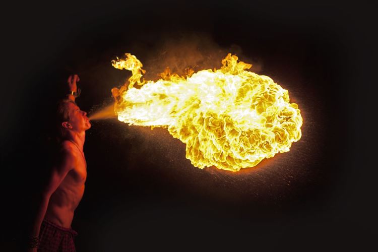 כל מה שצריך כדי להרים חתונה ייחודית 3