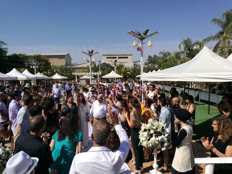 לא בנאלים: הצעת נישואים מפתיע וחתונת צהריים 4