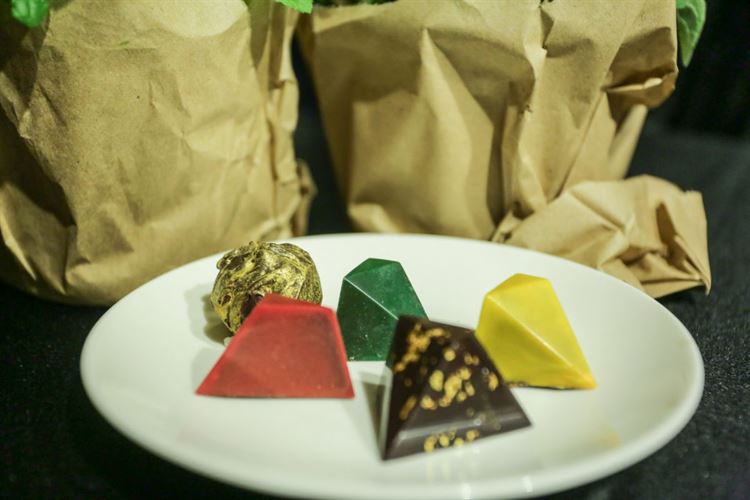 האיש שהפך את הסלבס לטבעונים לערב אחד 15