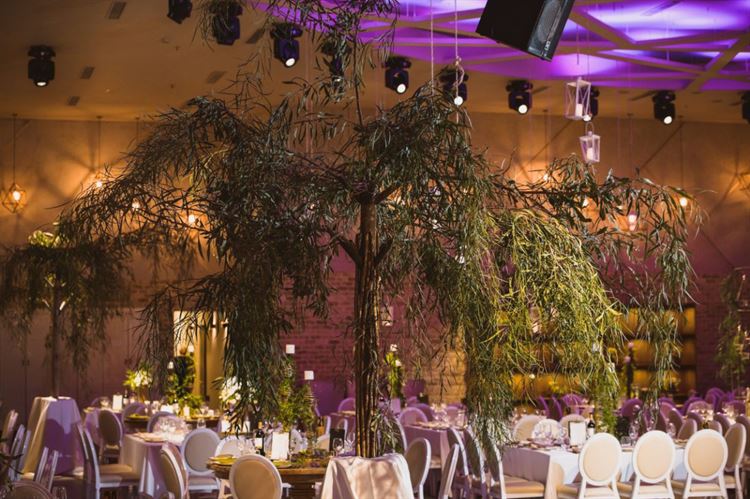 היא נתנה ביס בהמבורגר והוא נדלק עליה 16