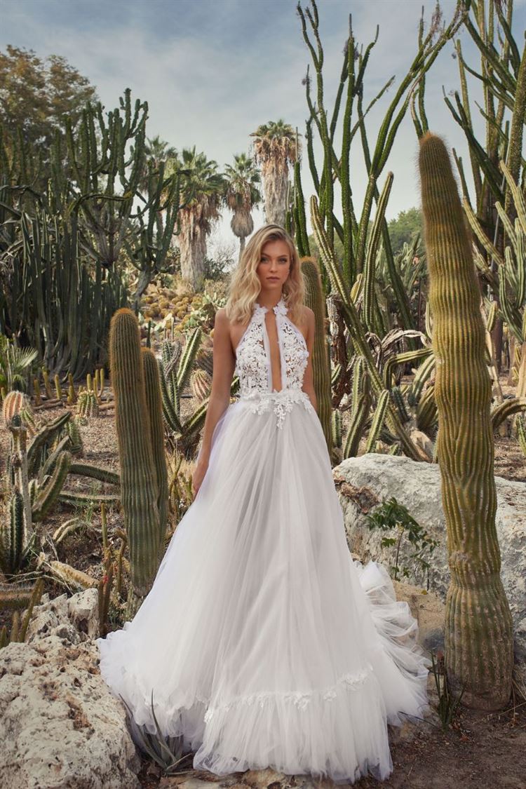 איזו תוכנית טלוויזיה הובילה לקטלוג חדש? 2