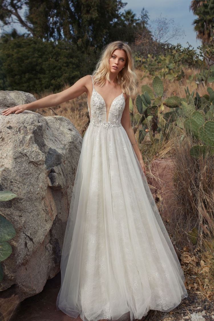 איזו תוכנית טלוויזיה הובילה לקטלוג חדש? 3