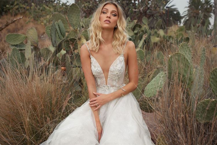 איזו תוכנית טלוויזיה הובילה לקטלוג חדש? 4