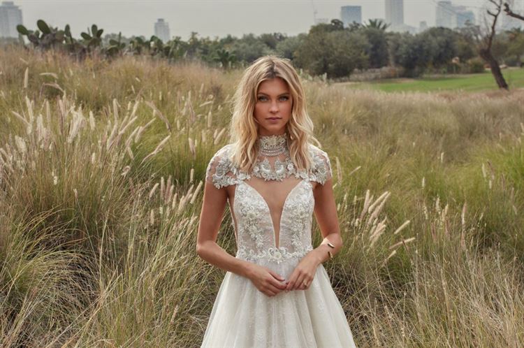 איזו תוכנית טלוויזיה הובילה לקטלוג חדש? 6