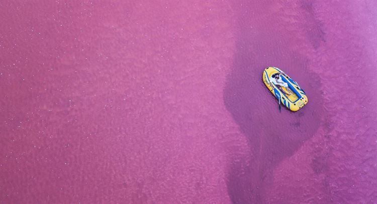 כמה פעמים ראיתם חתן במכנסיים קצרים וסנדלים? 7