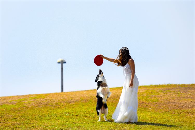 כמה פעמים ראיתם חתן במכנסיים קצרים וסנדלים? 11