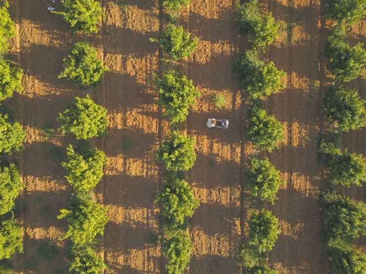 בלי שחשדה: בחרה את הלוקיישן של ההצעה שלה 3