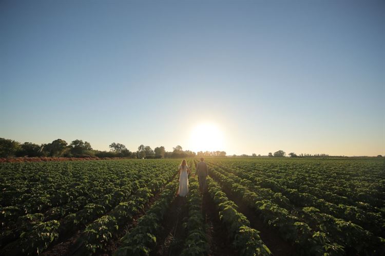 בלי שחשדה: בחרה את הלוקיישן של ההצעה שלה 24