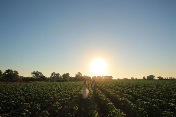 בלי שחשדה: בחרה את הלוקיישן של ההצעה שלה 25