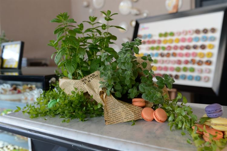 צפו: המתחם האורבני שרק נפתח וכבר הפך להצלחה מסחררת 15