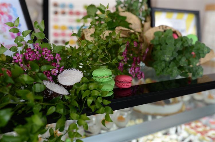 צפו: המתחם האורבני שרק נפתח וכבר הפך להצלחה מסחררת 16