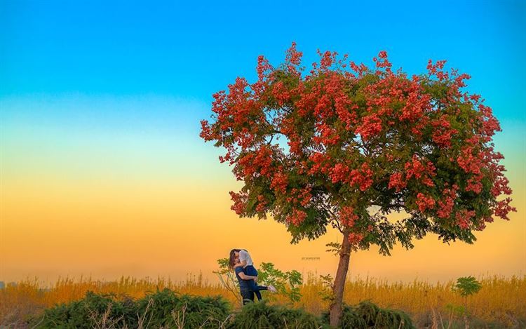 הסוד הוא בפשטות: תמונות זוגיות באווירה טבעית 3