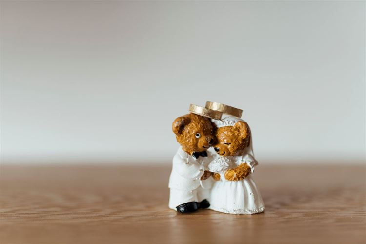 מקוריות זה שם המשחק (צילום: תומר מונטיליה)