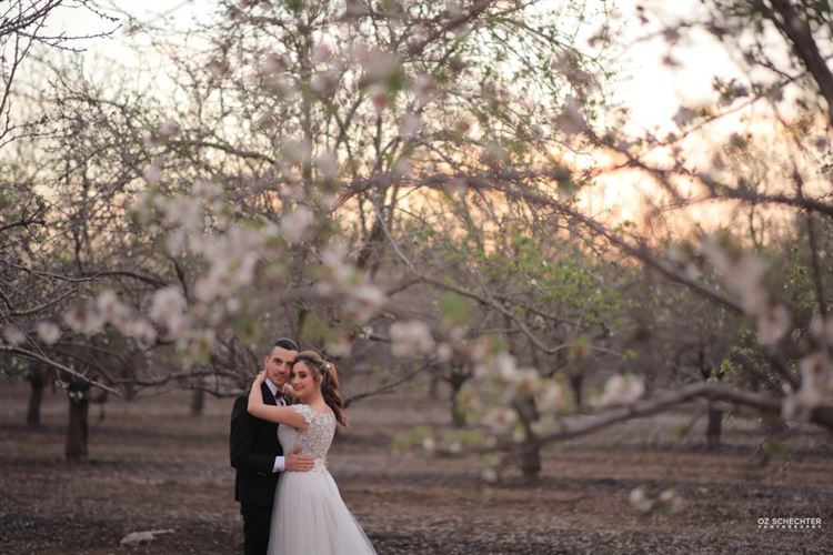 המרוץ להצעה: החתן והכלה מתחרים מי יפתיע ראשון 4