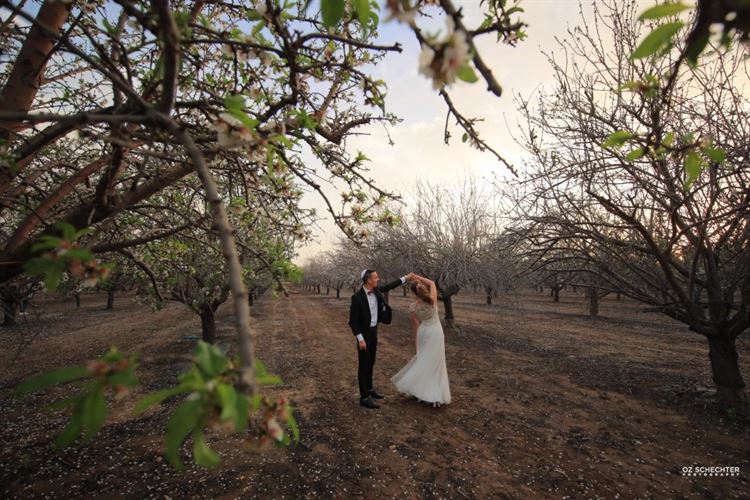 המרוץ להצעה: החתן והכלה מתחרים מי יפתיע ראשון 11