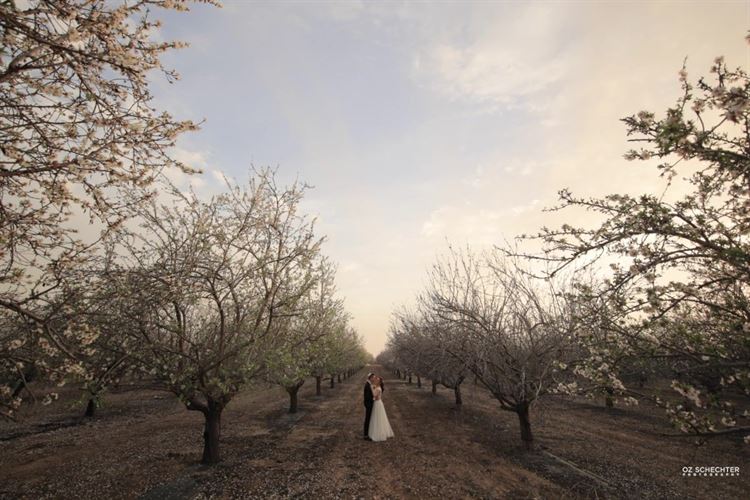 המרוץ להצעה: החתן והכלה מתחרים מי יפתיע ראשון 12