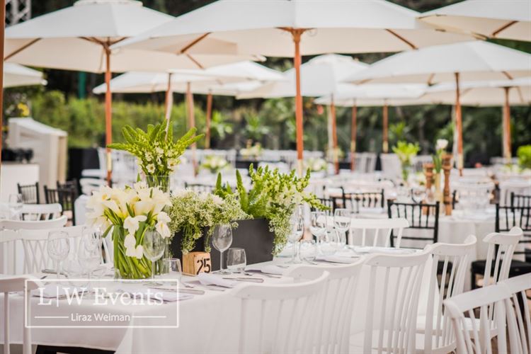 הכירו: הדבר הבא בסצנת האירועים של תל-אביב 5