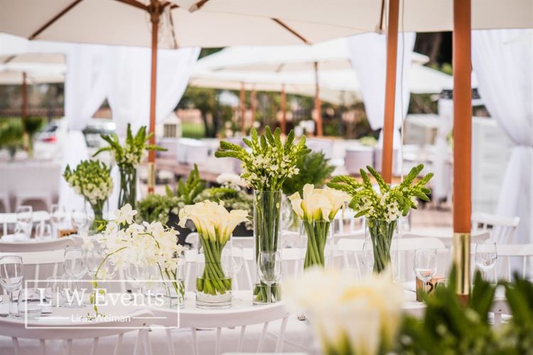 הכירו: הדבר הבא בסצנת האירועים של תל-אביב 3