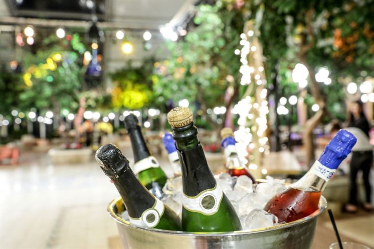 סיפור אהבה משמיים בין טייס לדיילת 30