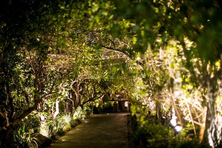 מוכנים להתאהב בגן האירועים אלכסנדר? (צילום: דימה וזינוביץ')