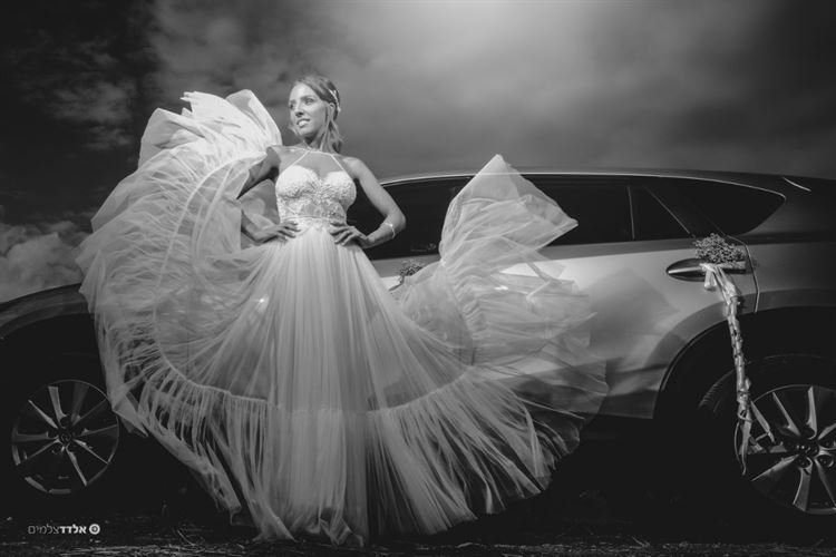 אומרים שתמונה אחת שווה אלף מילים, זו שווה אלף פרגונים (צילום: אלדד צלמים)