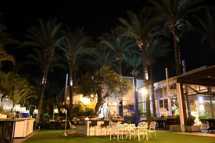 לא לבעלי קיבה ריקה: המקום שמפתיע בפן הקולינרי 3