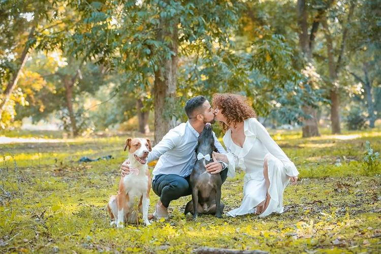 ערב שגרתי בתל אביב וסקופ אחד גדול 2