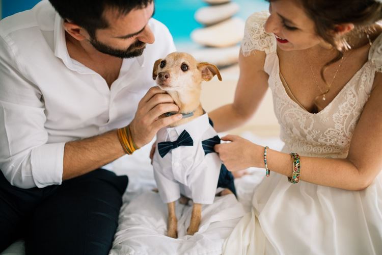 כלה על גלגלים: כשהסיוט הופך לחתונה הכי שמחה שתראו 2