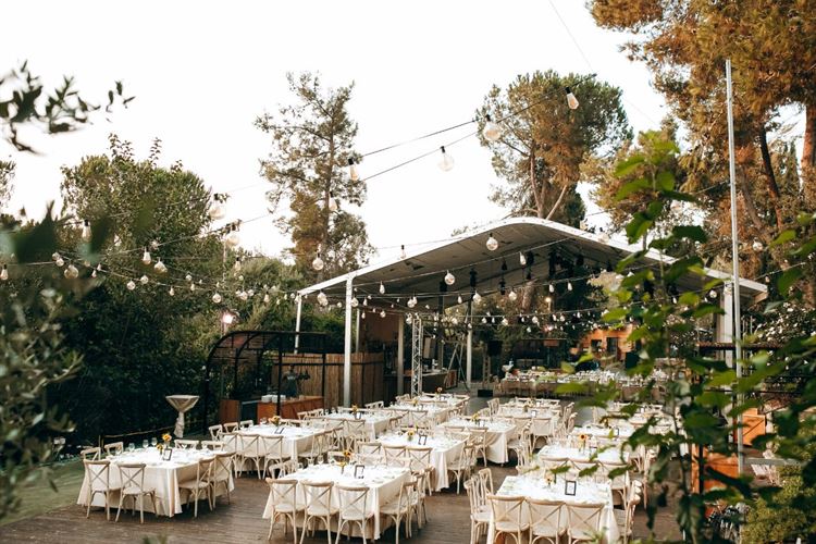 הלם: הכלה שאיבדה את הטבעת 14