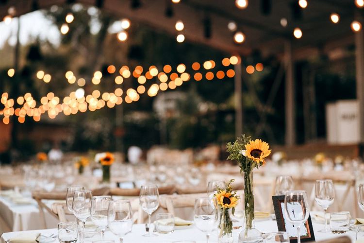 הלם: הכלה שאיבדה את הטבעת 15