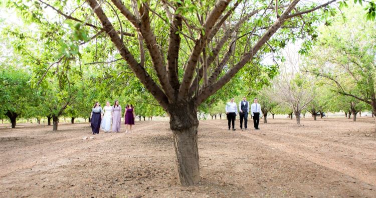 תמונות זוגיות מבלי לראות אחד את השנייה 9