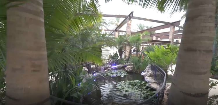 איך תהפכו את החתונה שלכם לבלתי נשכחת? 6