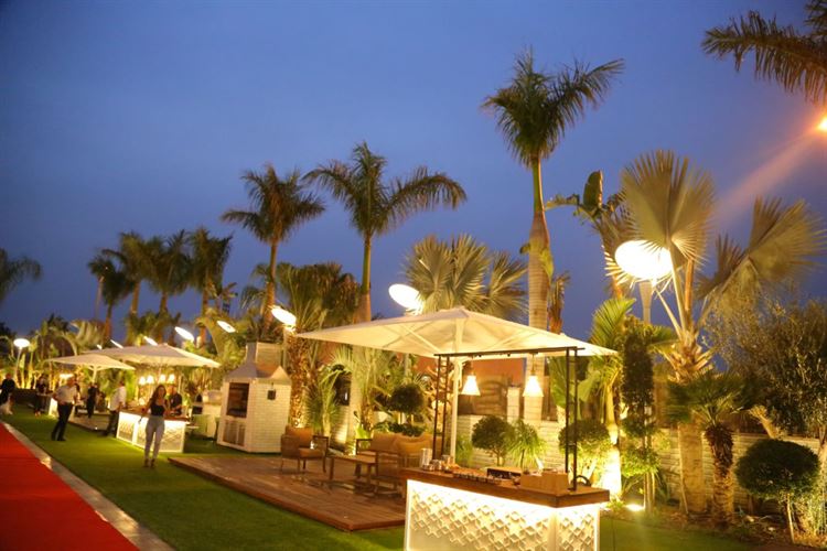 צפו: החידושים המרעננים בעולם החתונות 15