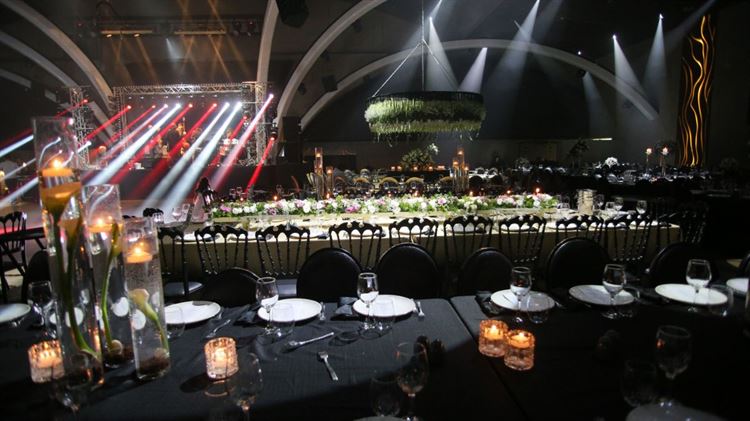 קרנבל אווירי: החתונה של בעלי מתחם האירועים 'טרויה' 11