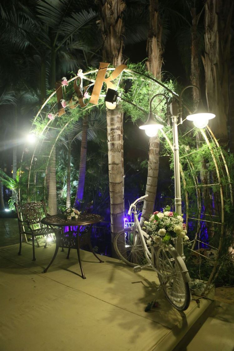 קרנבל אווירי: החתונה של בעלי מתחם האירועים 'טרויה' 12