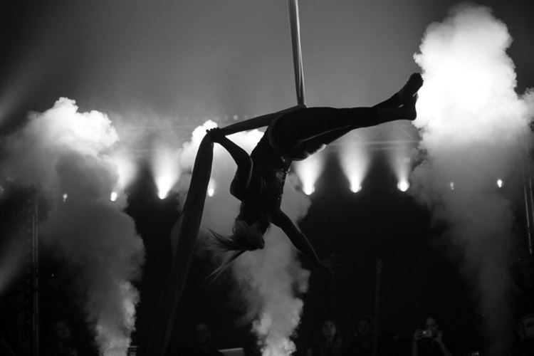 קרנבל אווירי: החתונה של בעלי מתחם האירועים 'טרויה' 14