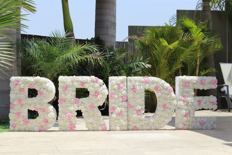 לא מה שציפיתם: מסיבה בקונספט פלמינגו 2