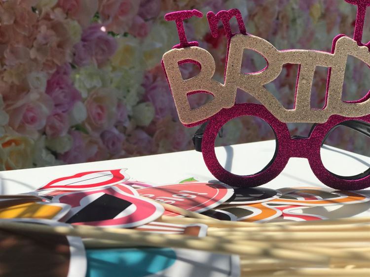 לא מה שציפיתם: מסיבה בקונספט פלמינגו 3