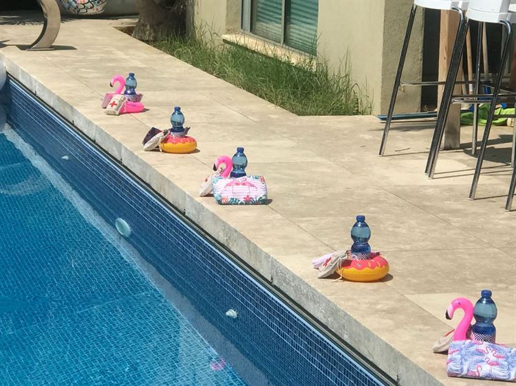 לא מה שציפיתם: מסיבה בקונספט פלמינגו 5