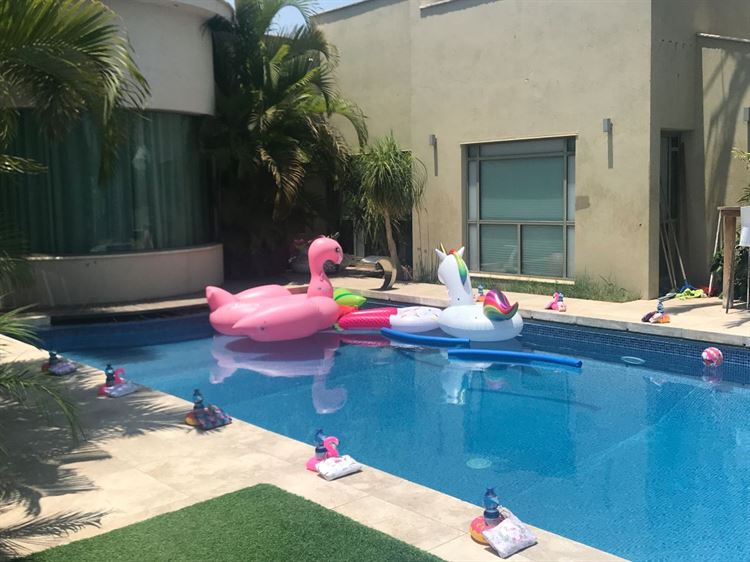 לא מה שציפיתם: מסיבה בקונספט פלמינגו 6