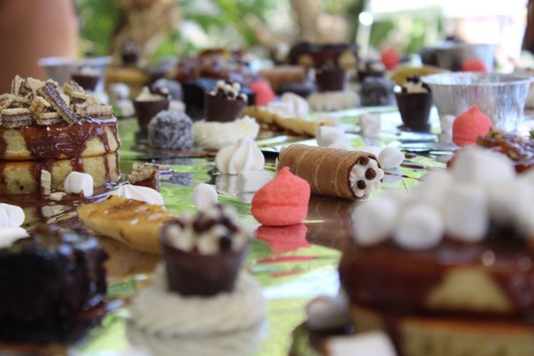 לא מה שציפיתם: מסיבה בקונספט פלמינגו 9