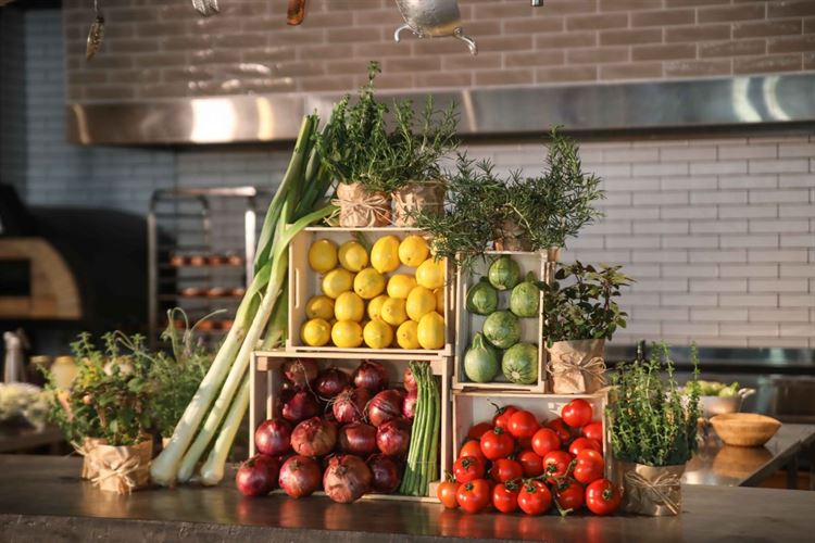 צפו: חוויה קולינרית מרעננת בעולם החתונות 3