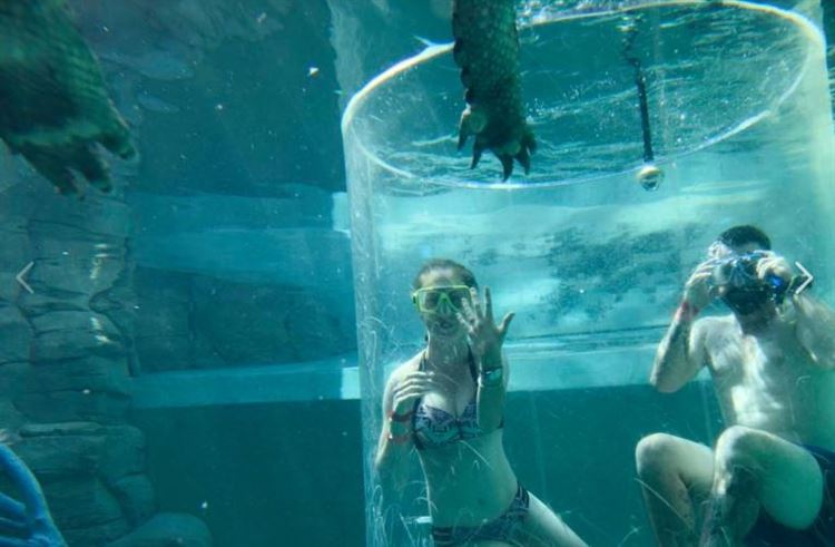 טבעות ומלתעות: הצעת נישואים קריפית במיוחד 3