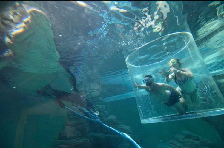 טבעות ומלתעות: הצעת נישואים קריפית במיוחד 2