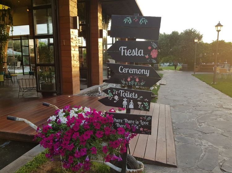 לאן מתחשק לכם ללכת? (צילום: וואלה! מזל טוב)