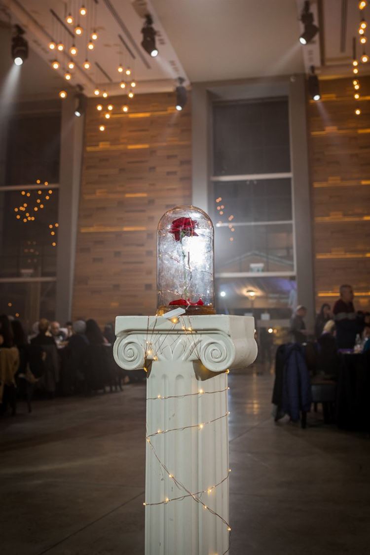 לאוהבי מיקי ומיני מאוס: חתונה בקונספט דיסני 29