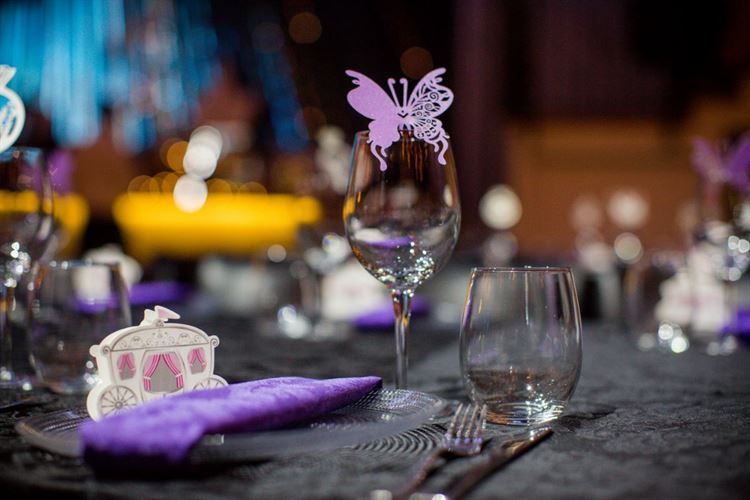 לאוהבי מיקי ומיני מאוס: חתונה בקונספט דיסני 19