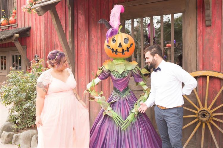 לאוהבי מיקי ומיני מאוס: חתונה בקונספט דיסני 10